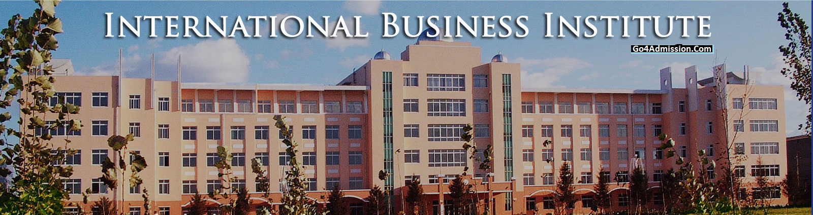 International Business Institute Greater Noida